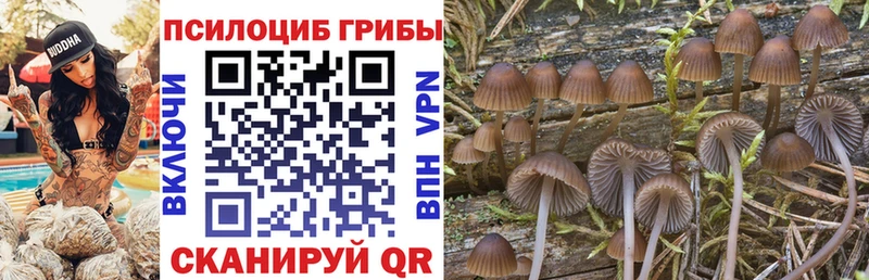 где купить наркоту  Рыльск  Галлюциногенные грибы MAGIC MUSHROOMS 